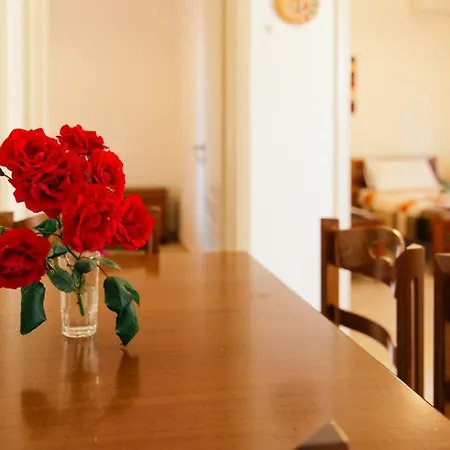 Private At The Tatil Evi *