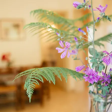 Private At The * Halikounas