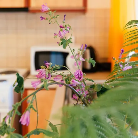 Private At The * Halikounas